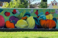 Festival Street Art Saint-Quentin Picardie 2022