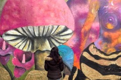 'Demoiselle Queen of Mushrooms' sur le mur grand écran de la rue Amelot