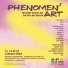 Street art au féminin avec Demoiselle MM au FESTIVAL PHENOMEN'ART