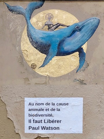 Demoiselle MM et sa fresque "Demoiselle Baleine Bleue" en soutien à Paul Watson, activiste environnemental.